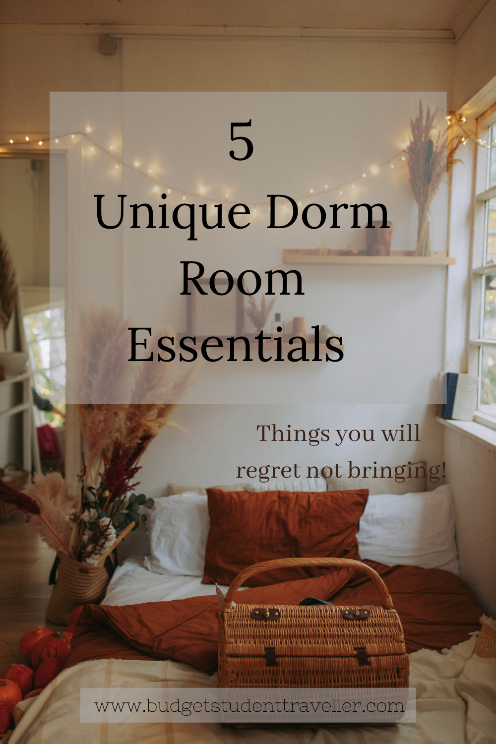 5 Unique Uni Room Essentials - The Frugal Explorer