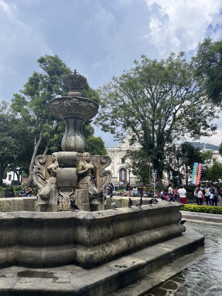 photo of parque central