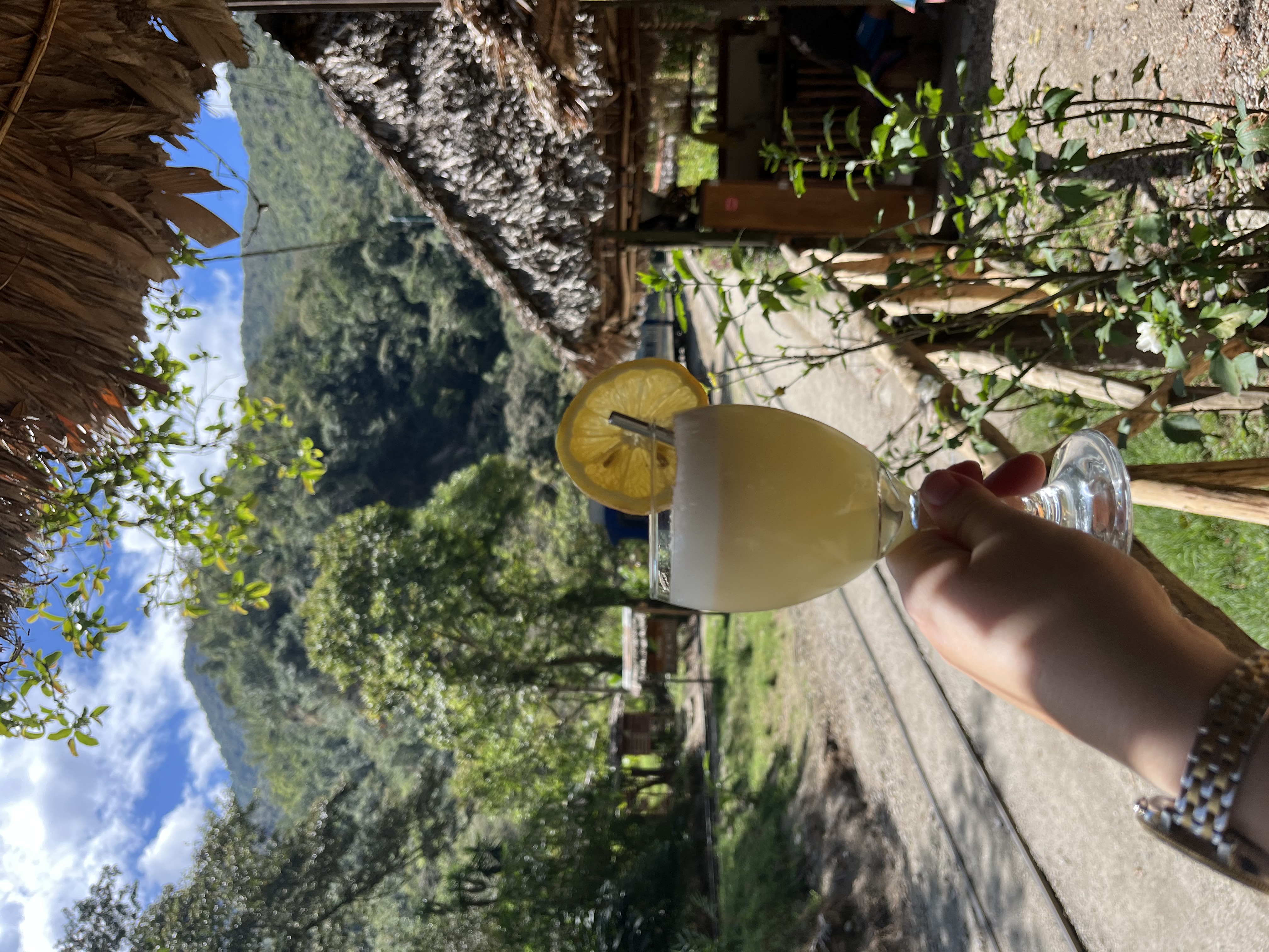 cheapest pisco sour at only £3